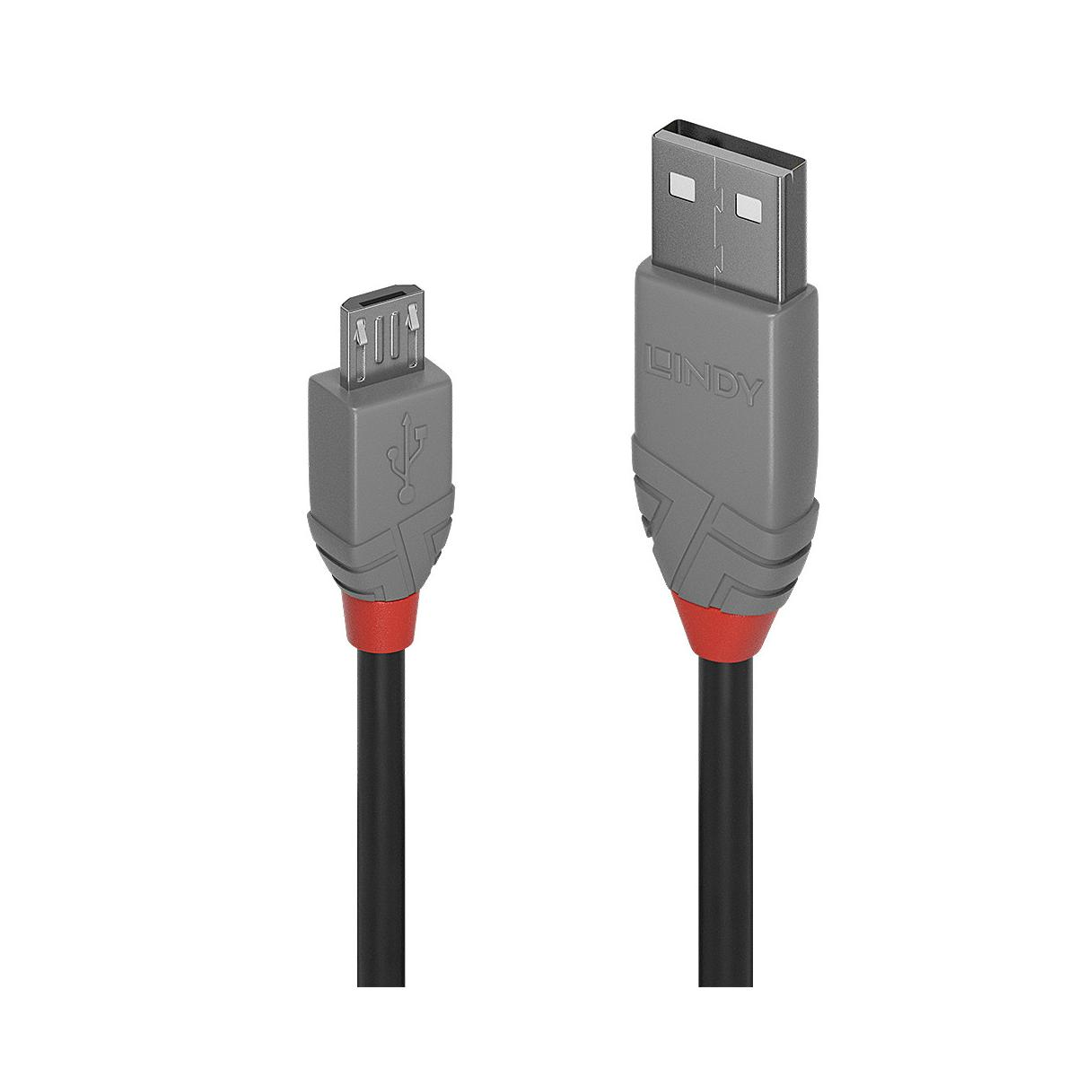 Due connettori per cavo USB, uno USB-A e uno Micro-USB, con accenti grigi e rossi.