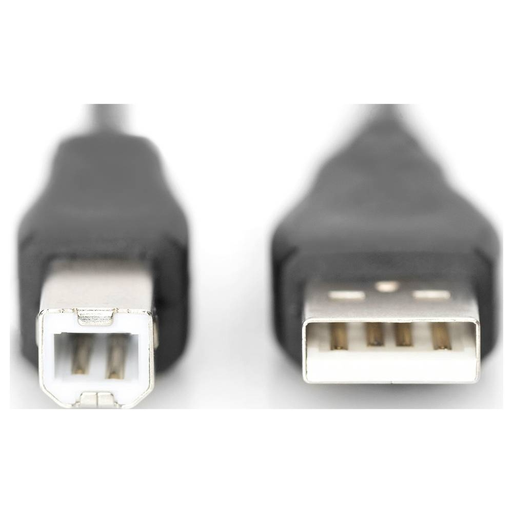 Twee USB-connectoren naast elkaar: een Type B en een Type A, op witte achtergrond.