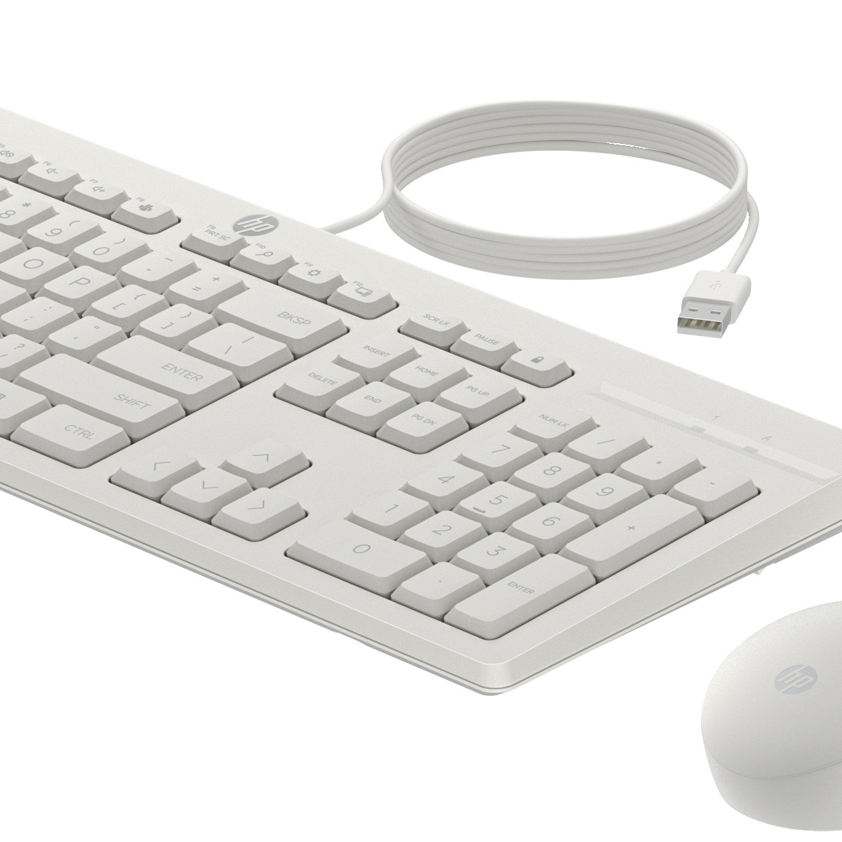 Una tastiera HP bianca con cavo USB e un mouse bianco su sfondo bianco.