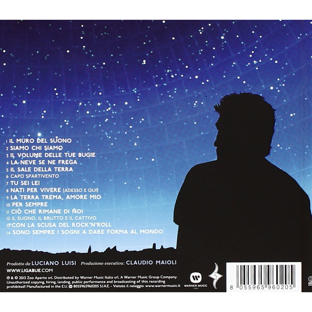 Silhouette di uomo su cielo stellato con lista canzoni.