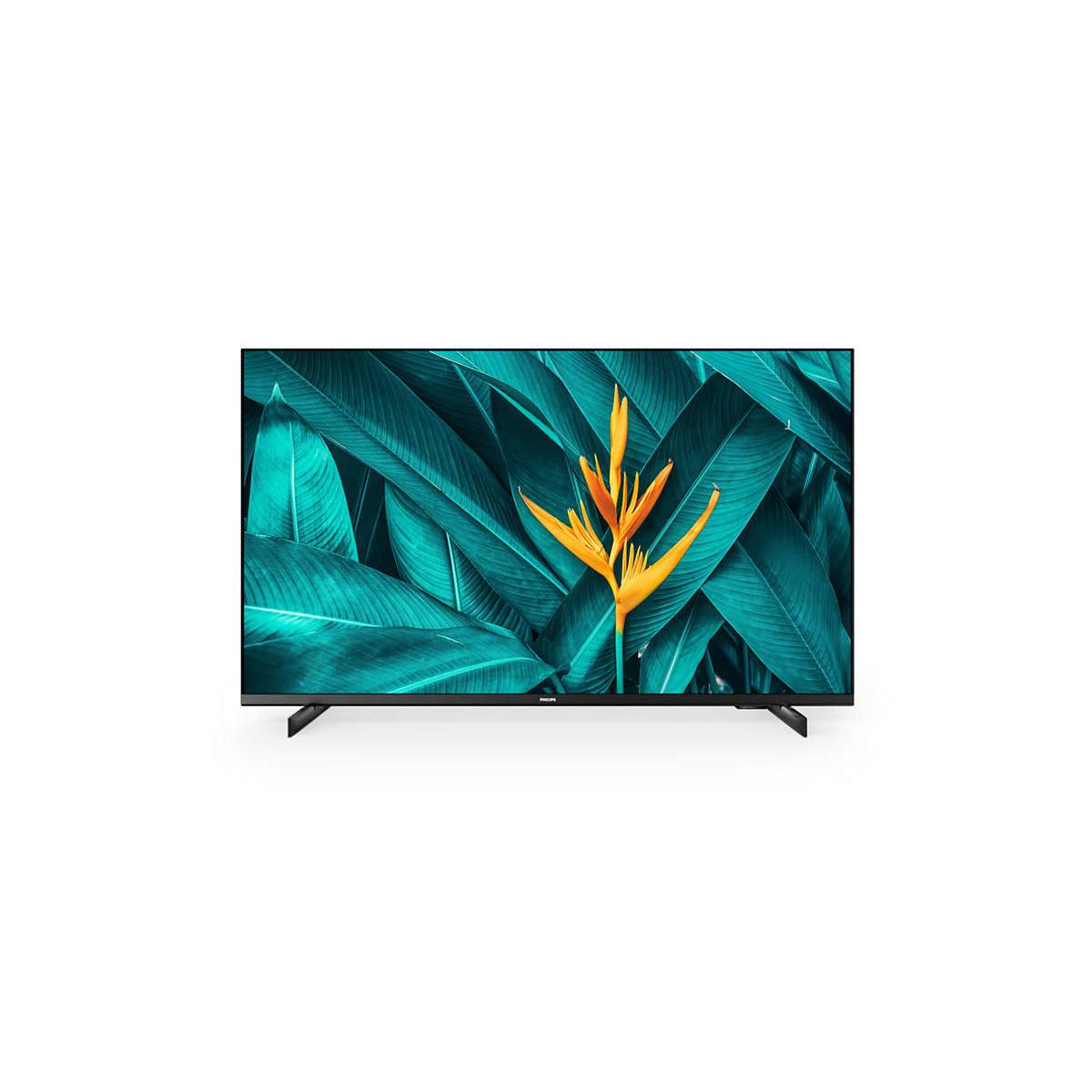 Ein Flachbildfernseher zeigt ein lebendiges Bild von großen, tealfarbenen Blättern und einer leuchtend orangen Blume.