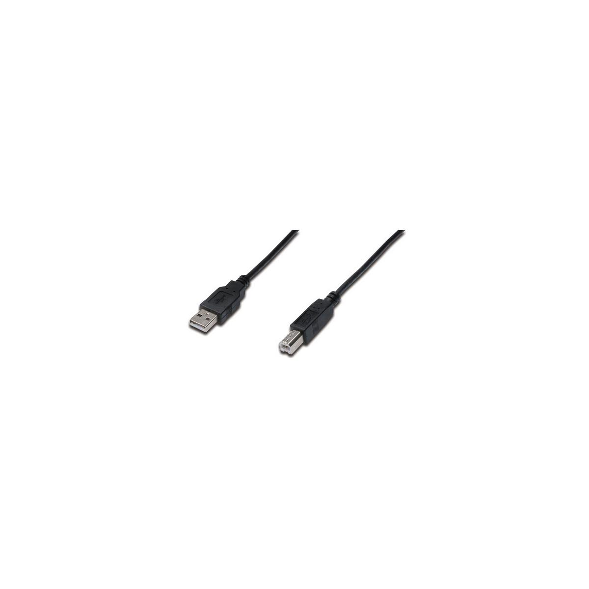 Zwei schwarze USB-Kabel mit unterschiedlichen Anschlüssen auf weißem Hintergrund.