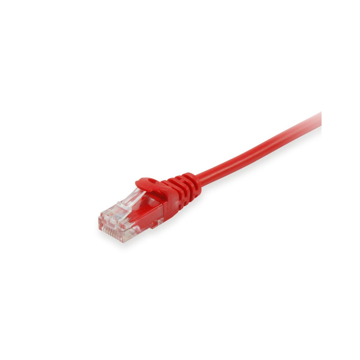 Un câble Ethernet rouge avec un connecteur RJ45 transparent sur fond blanc.
