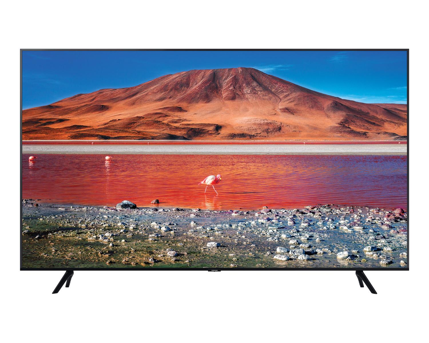 Un televisore mostra un paesaggio con un lago rosso, fenicotteri e uno sfondo montuoso.