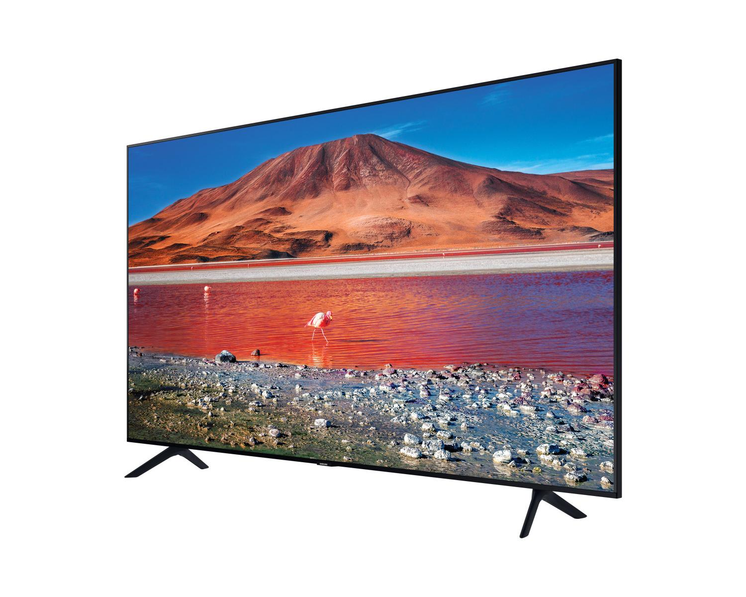 Una TV moderna mostra un fenicottero rosa in un lago rosso, con una montagna.