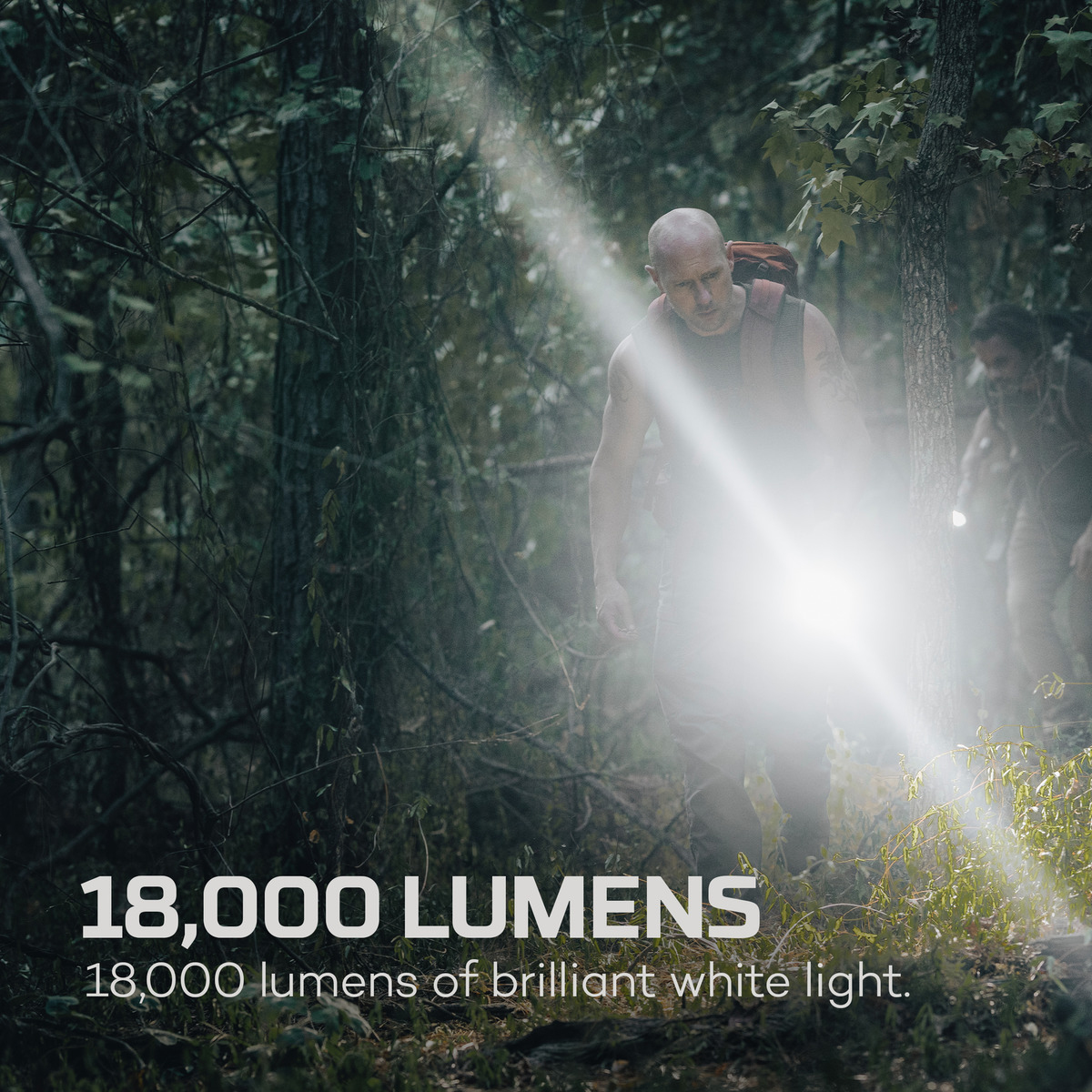 Männer mit Taschenlampen leuchten im dunklen Wald. 18.000 Lumen.