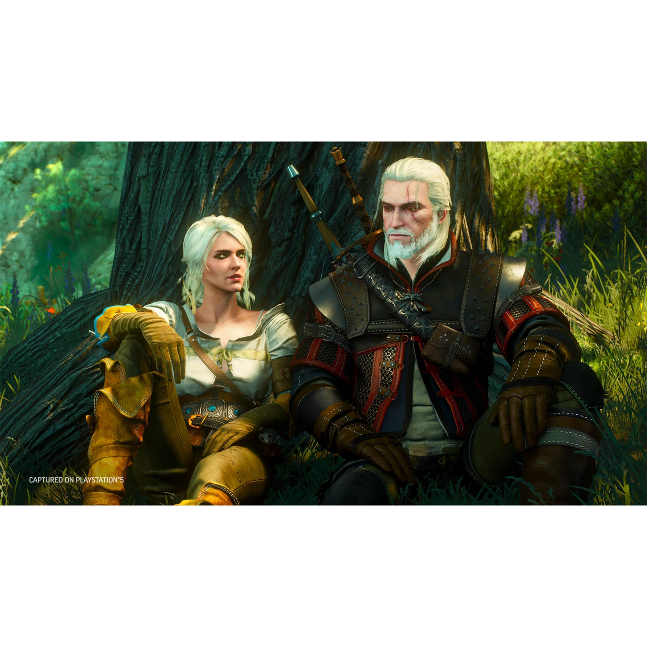Due personaggi, Geralt e Ciri, siedono sull'erba sotto un albero.