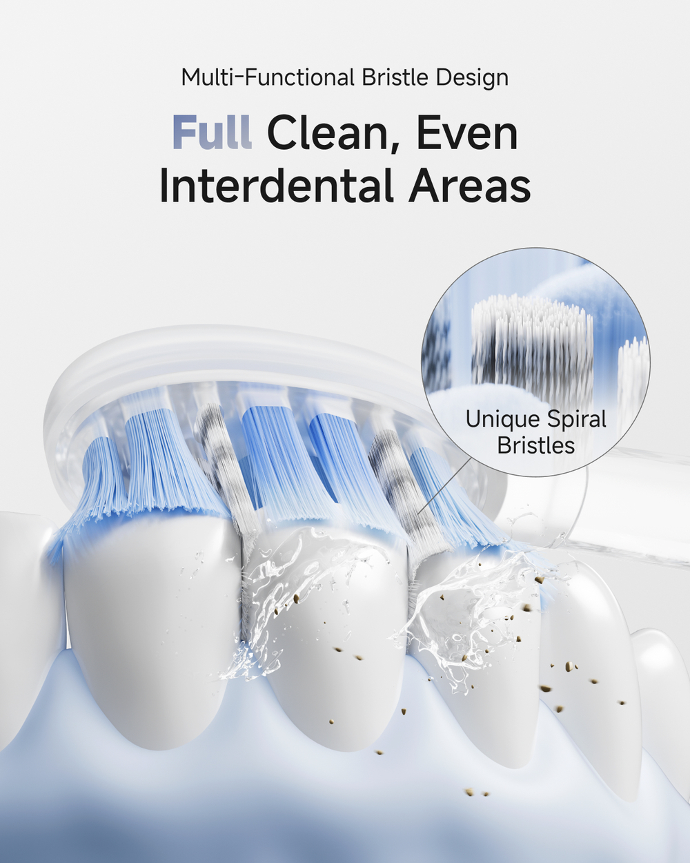 Les poils de brosse à dents nettoient les dents avec de l'eau et des débris.