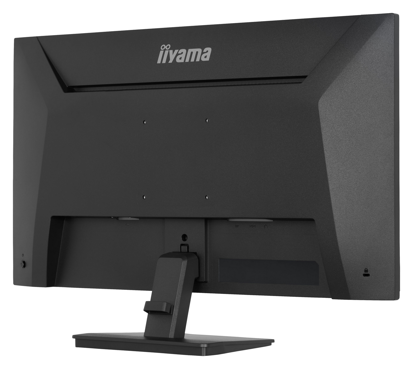 Vista posteriore di un monitor nero con logo Iiyama e porte.