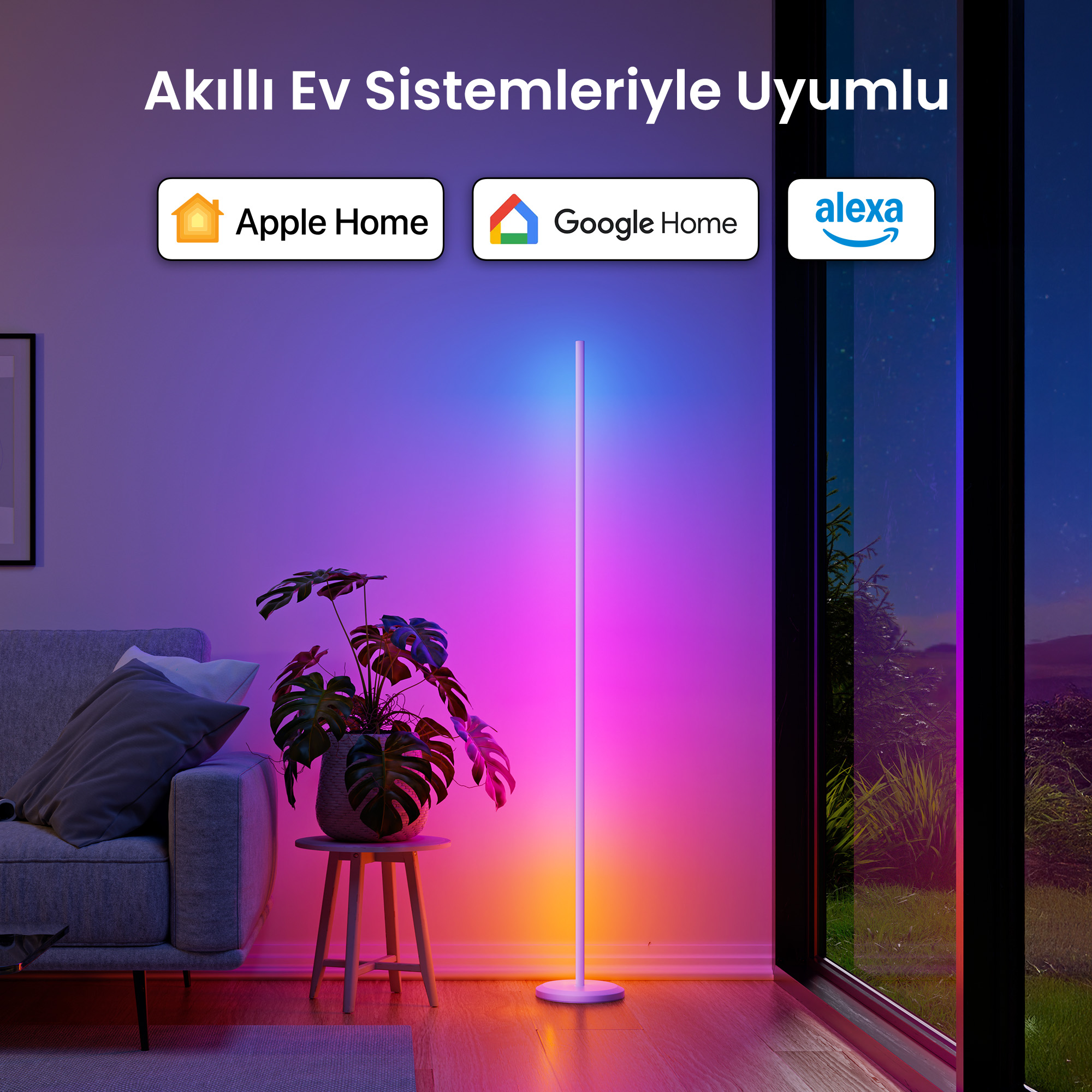Kanepe, bitki ve pembe-mavi ayaklı lamba ışığı olan aydınlık oda.