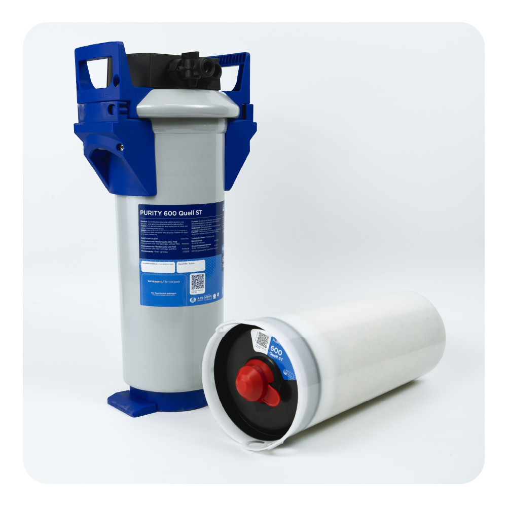 Wasserfiltergehäuse mit blauem Griff und Ersatzfilter daneben.