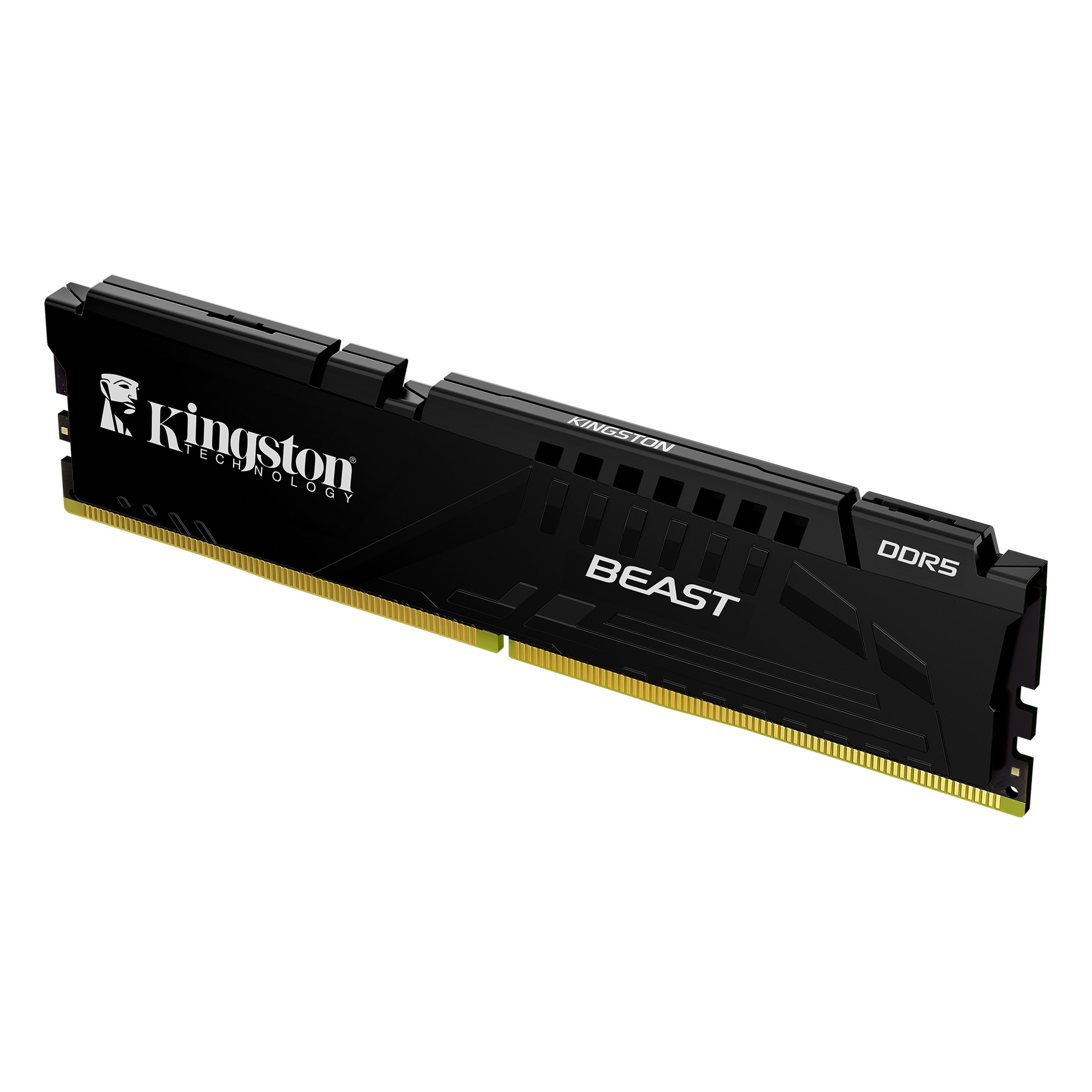 Altın kontaklı ve "BEAST" logolu siyah Kingston DDR5 RAM bellek.