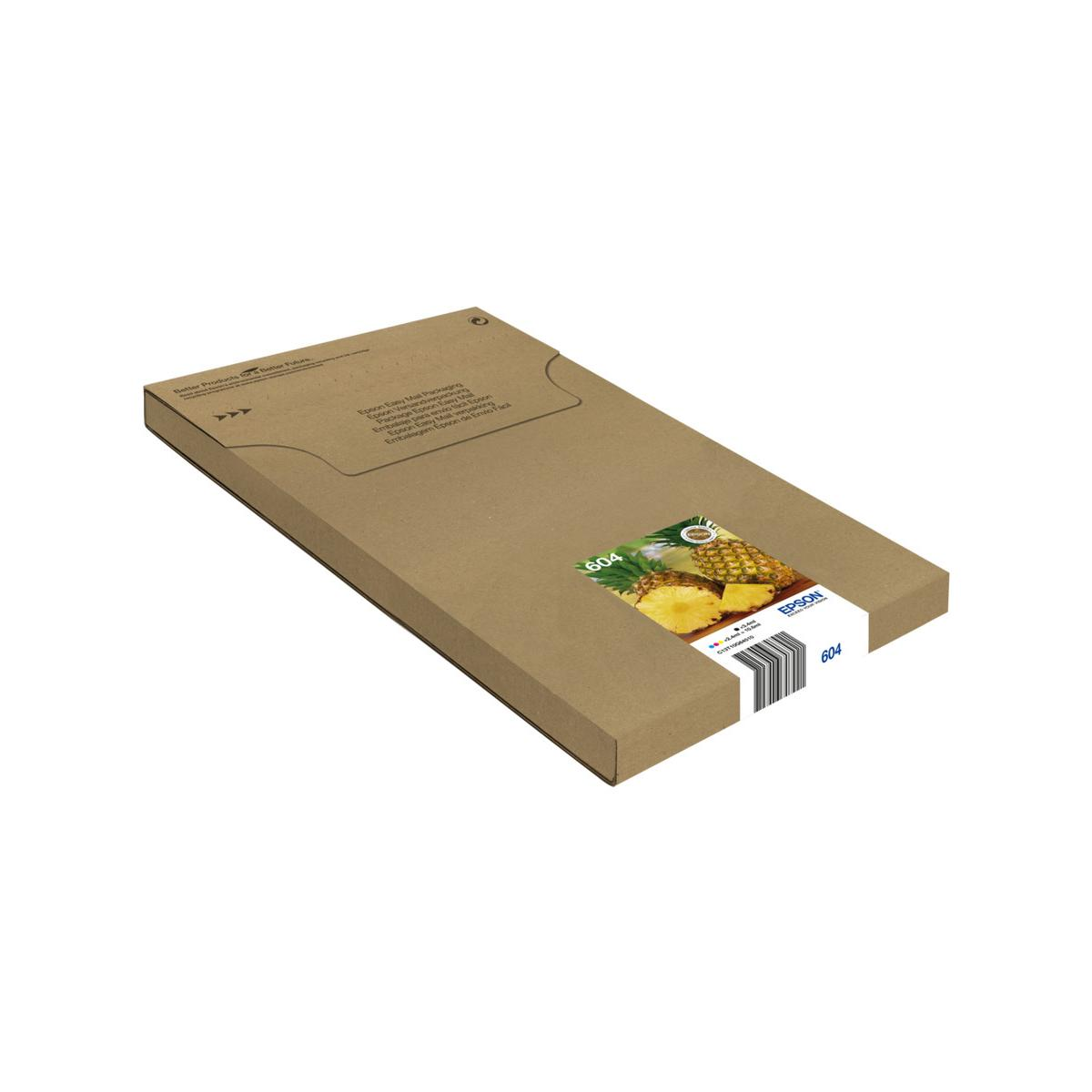 Bruine Epson-doos met ananassticker en modelnummer 604.
