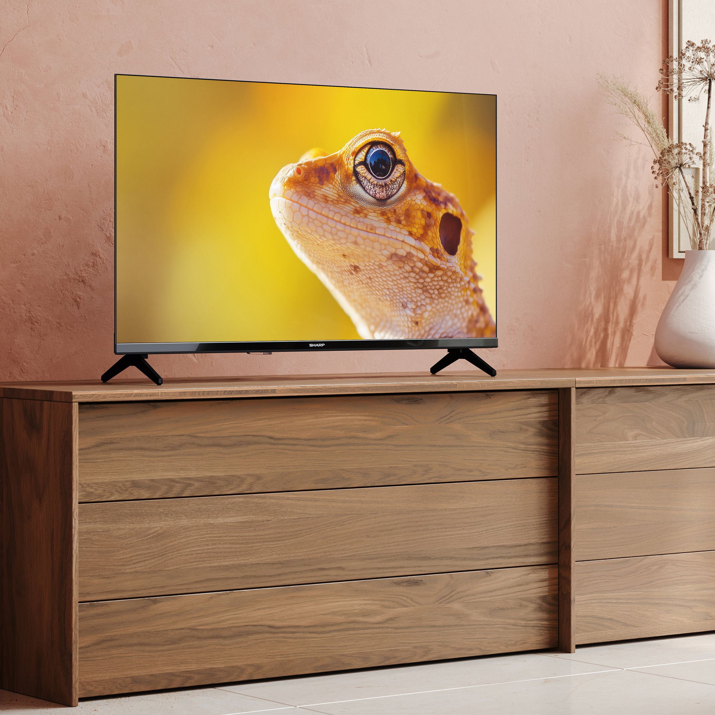 Ein Fernseher zeigt ein Nahaufnahme einer Eidechse auf einem Holzboden.