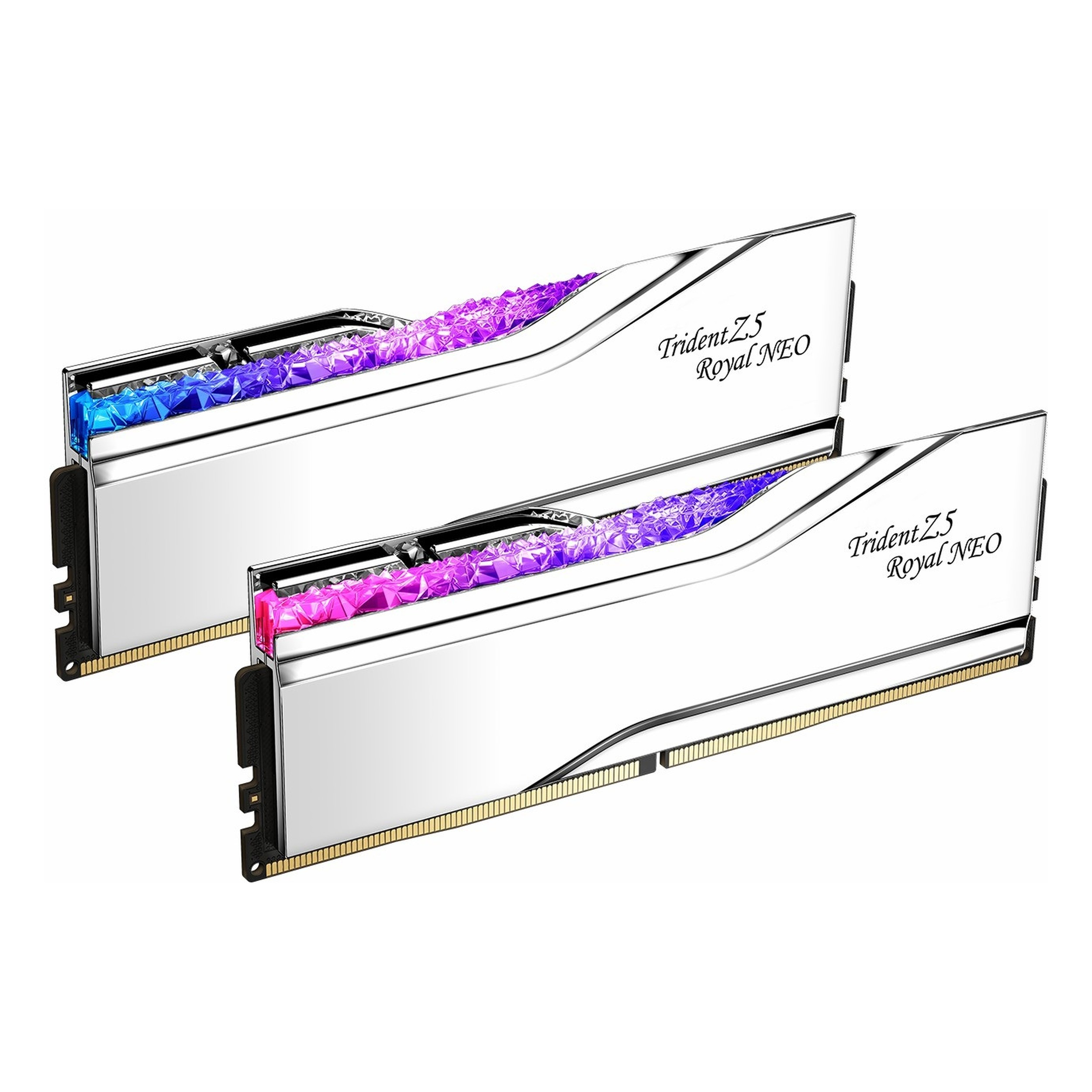 Due moduli RAM argentati con illuminazione RGB blu e viola.