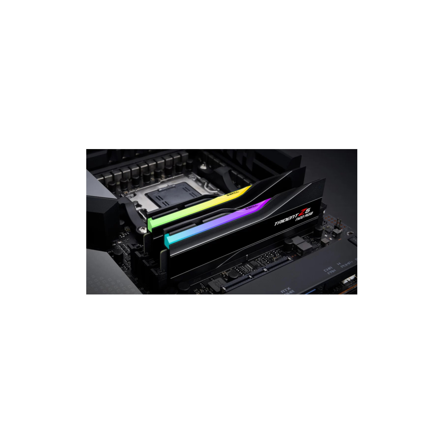 Due moduli RAM neri con illuminazione RGB su una scheda madre.