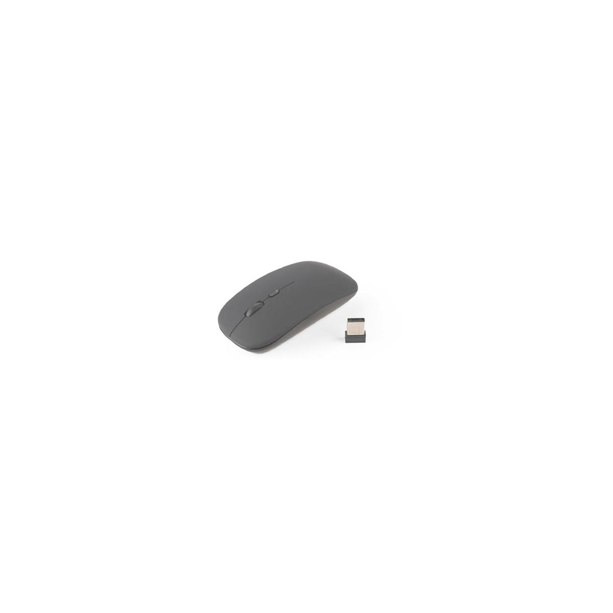 Eine graue Maus und ein USB-Empfänger liegen auf weißem Grund.
