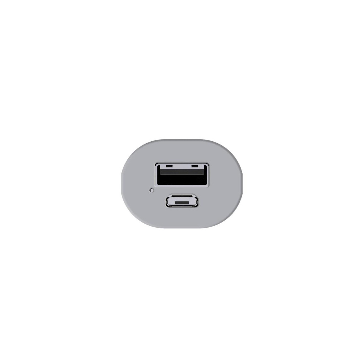Porta USB-C grigia e una porta USB-A una accanto all'altra in un alloggiamento ovale.