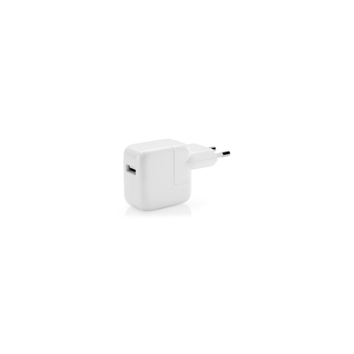 Un alimentatore bianco con porta USB e due pin metallici.