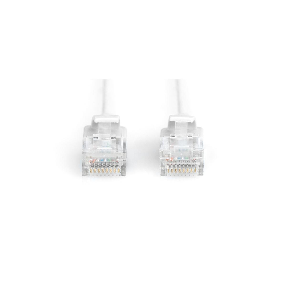 Due connettori RJ45 trasparenti con cavi bianchi su sfondo bianco.