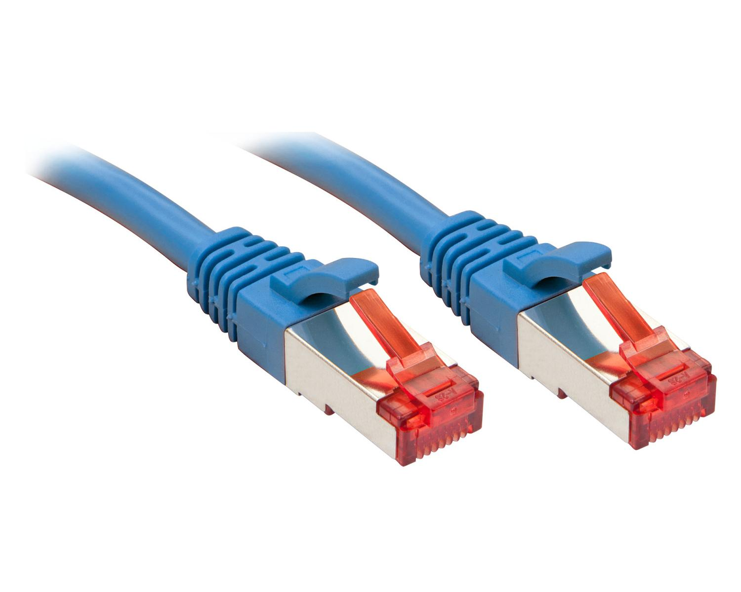 Deux câbles ethernet bleus avec connecteurs argentés et inserts rouges.