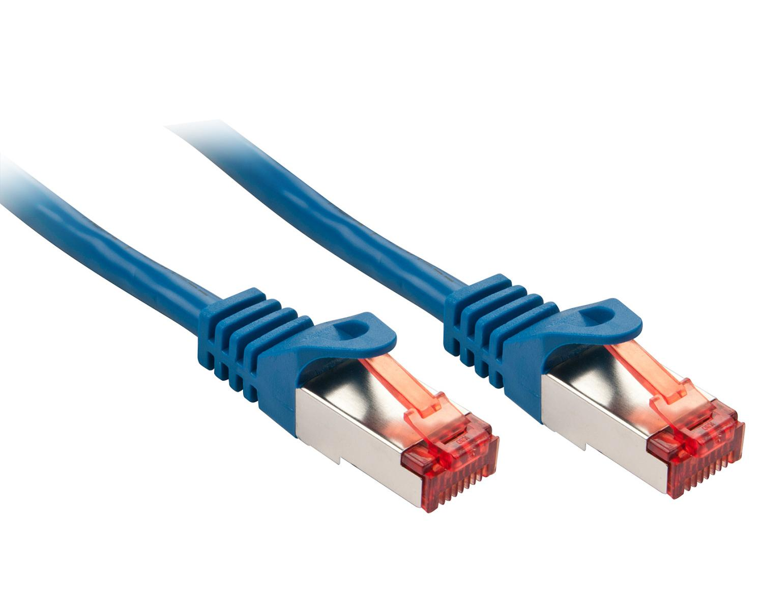 Deux câbles Ethernet bleus avec connecteurs argentés et clips rouges.