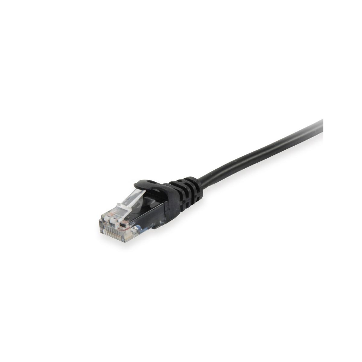 Un câble Ethernet noir avec un connecteur RJ45 transparent sur fond blanc.
