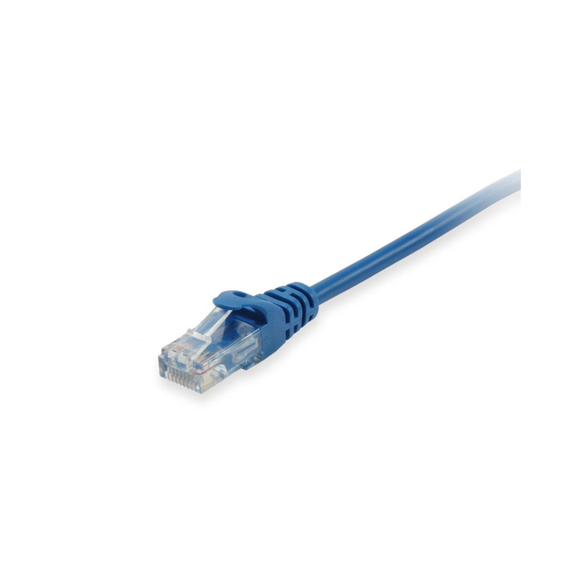 Un connecteur de câble réseau Ethernet bleu avec un loquet.