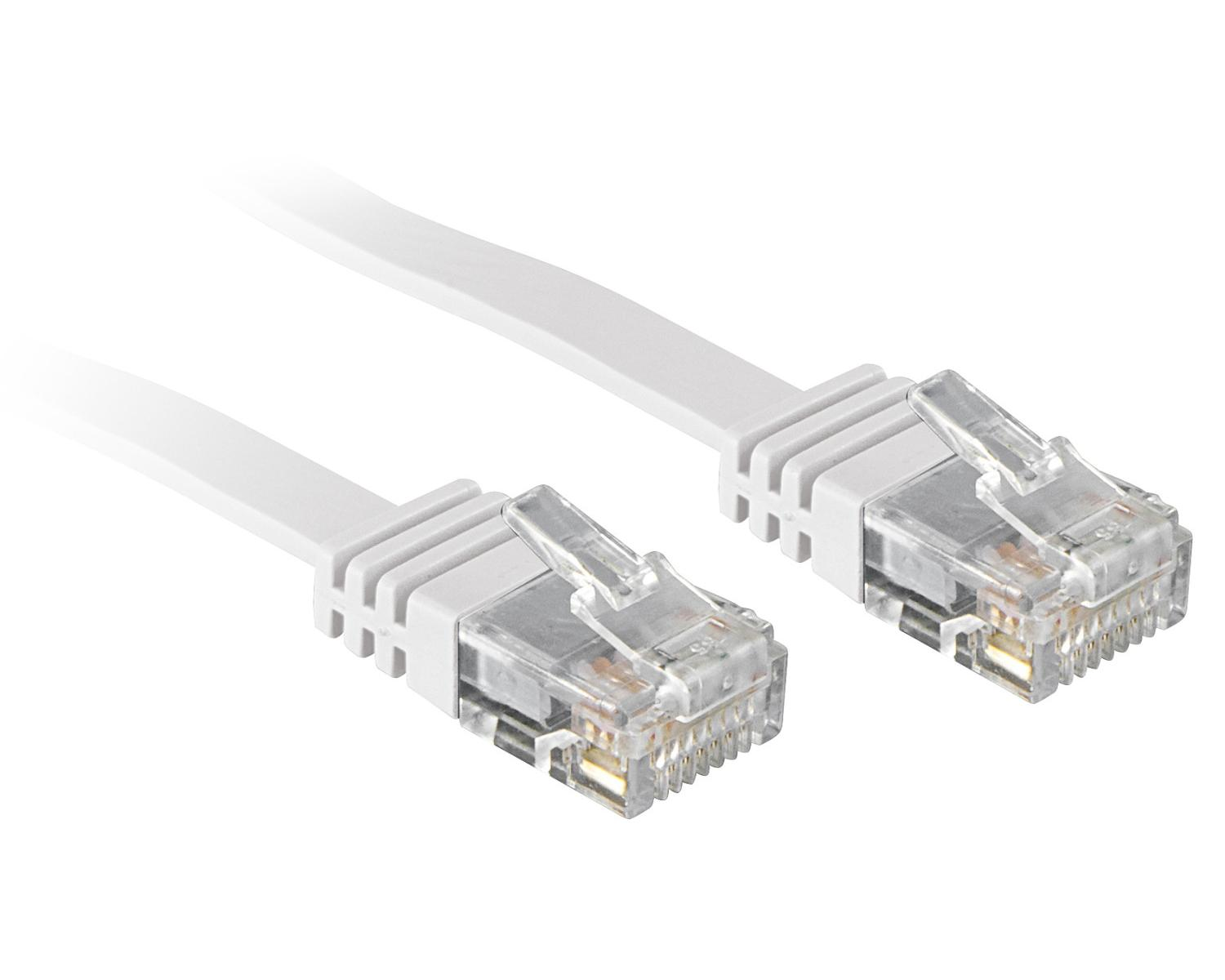 Dos cables Ethernet blancos con conectores transparentes sobre fondo blanco.