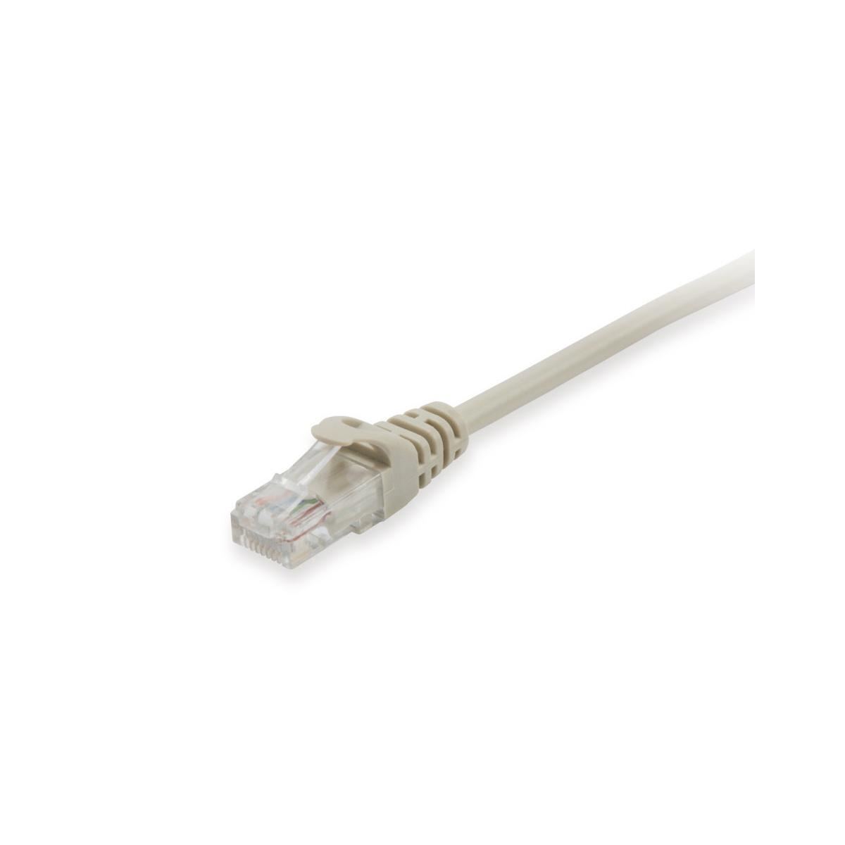 Un câble Ethernet gris avec un connecteur RJ45 transparent.