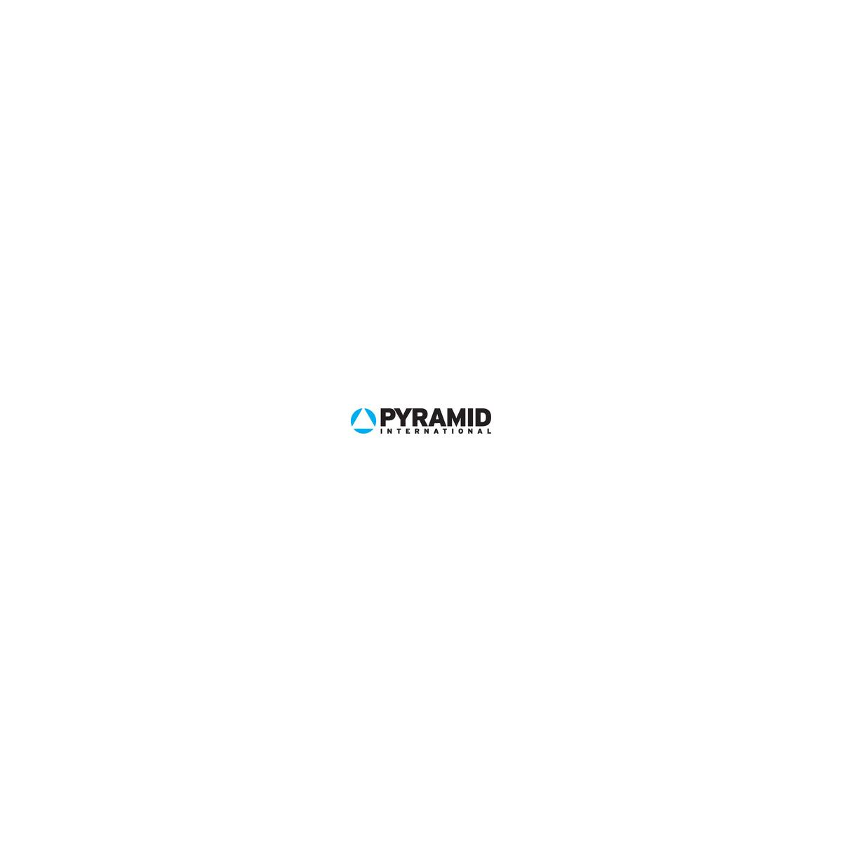 Il logo Pyramid International con triangoli blu e testo nero.