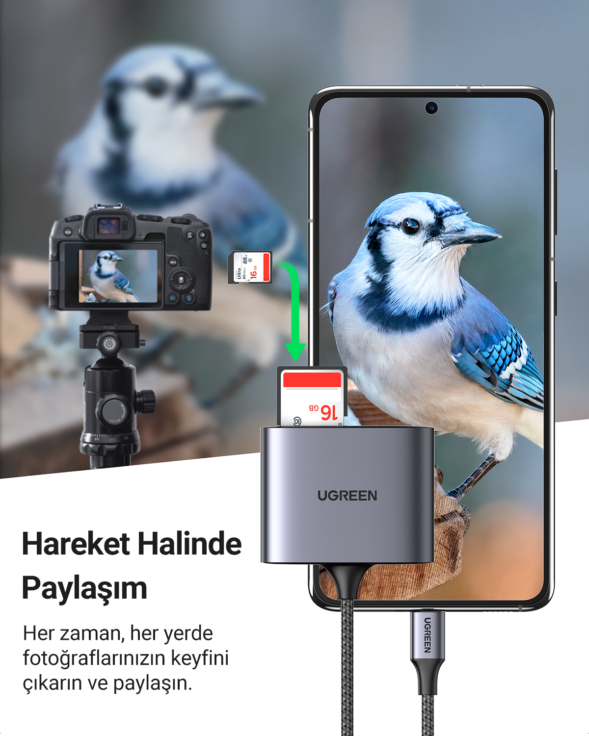 Akıllı telefona bağlı UGREEN adaptöre SD kart takılıyor.