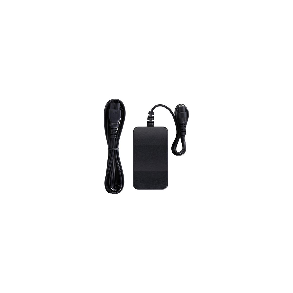 Black power adapter with cable and plug.