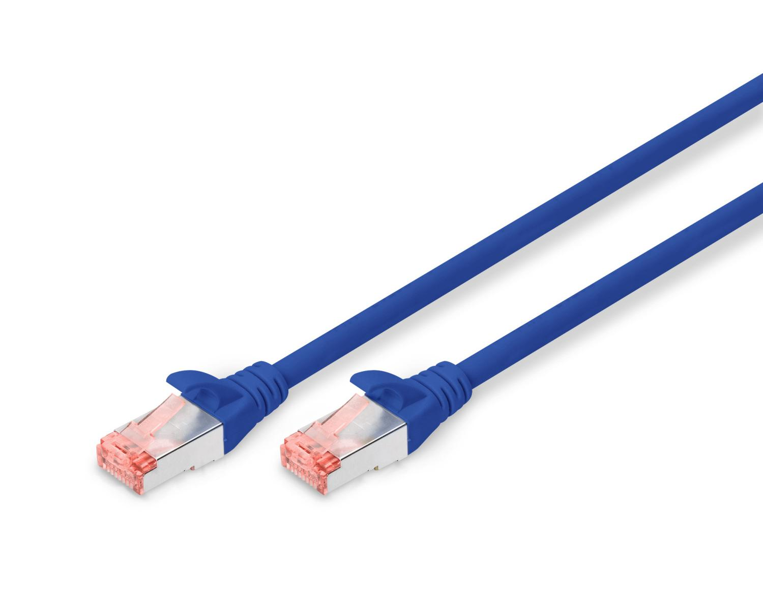 Deux câbles ethernet bleus avec connecteurs transparents sur fond blanc.