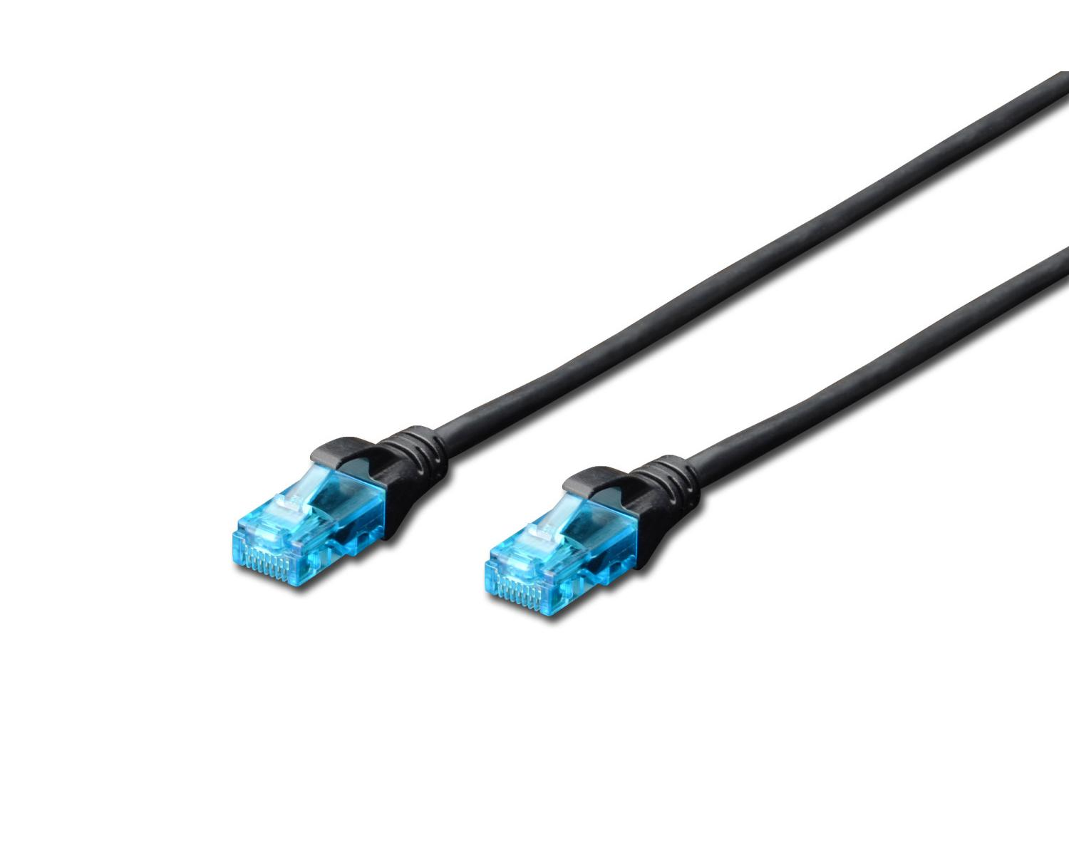 Two black network cables with blue connectors on a white background.