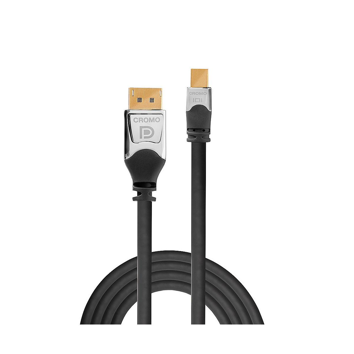 Un cavo nero con due connettori, un DisplayPort e un USB-C.