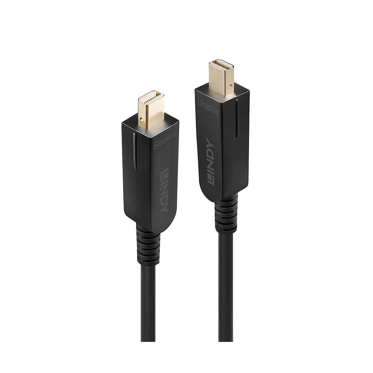 Due cavi LINDY neri con connettori DisplayPort dorati, etichettati 'Source' e 'Display'.
