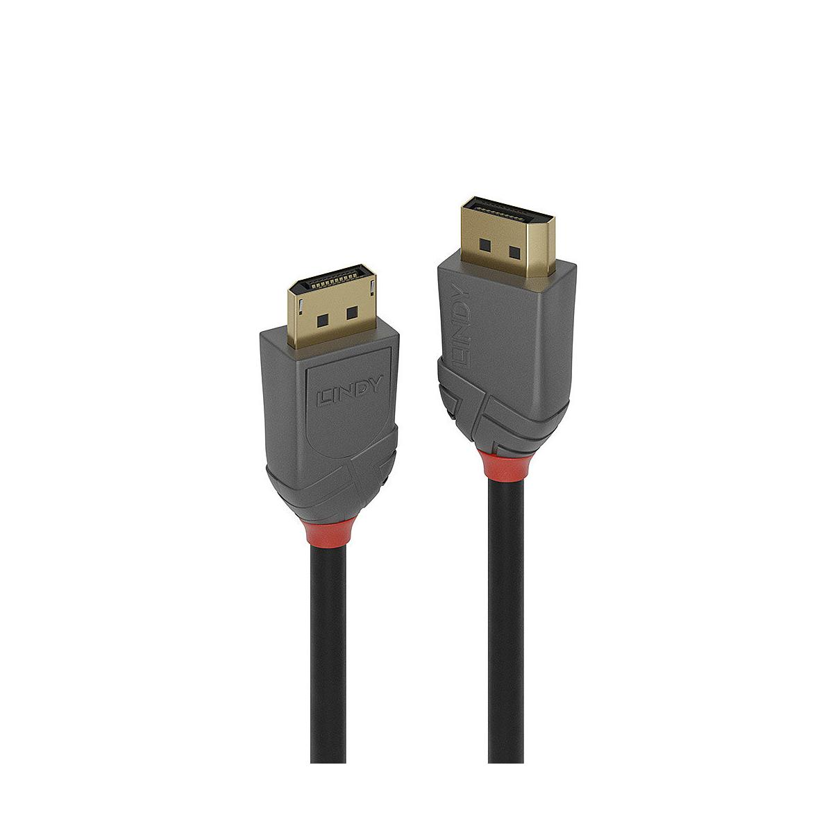 Twee LINDY kabels met HDMI en DisplayPort connectoren, grijs met rode accenten.