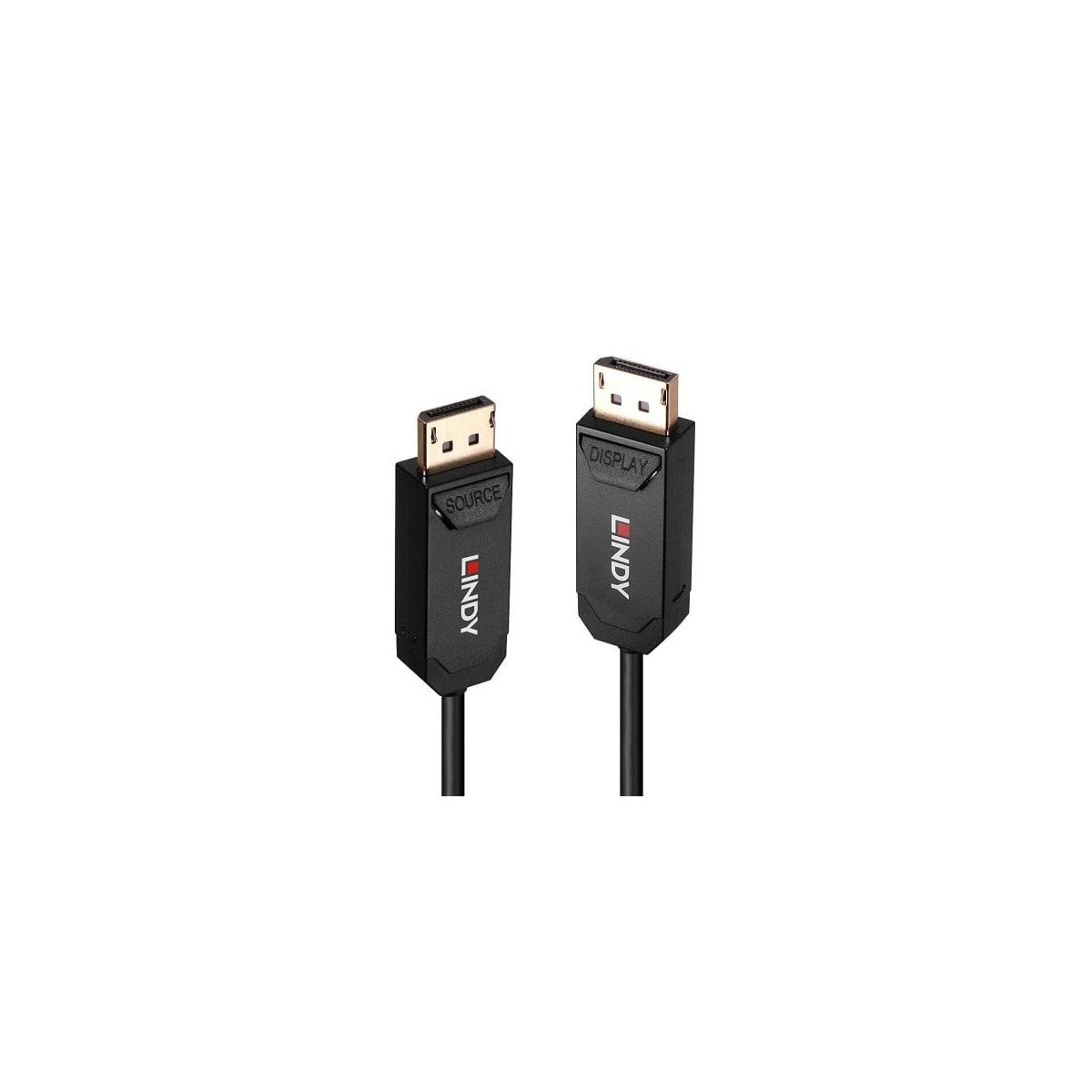 Zwei schwarze Lindy-Kabel mit DisplayPort-Steckern, beschriftet mit SOURCE und DISPLAY.