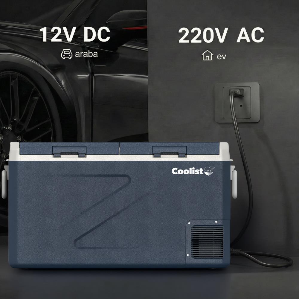 12V DC ve 220V AC güç seçenekli mavi taşınabilir soğutucu.