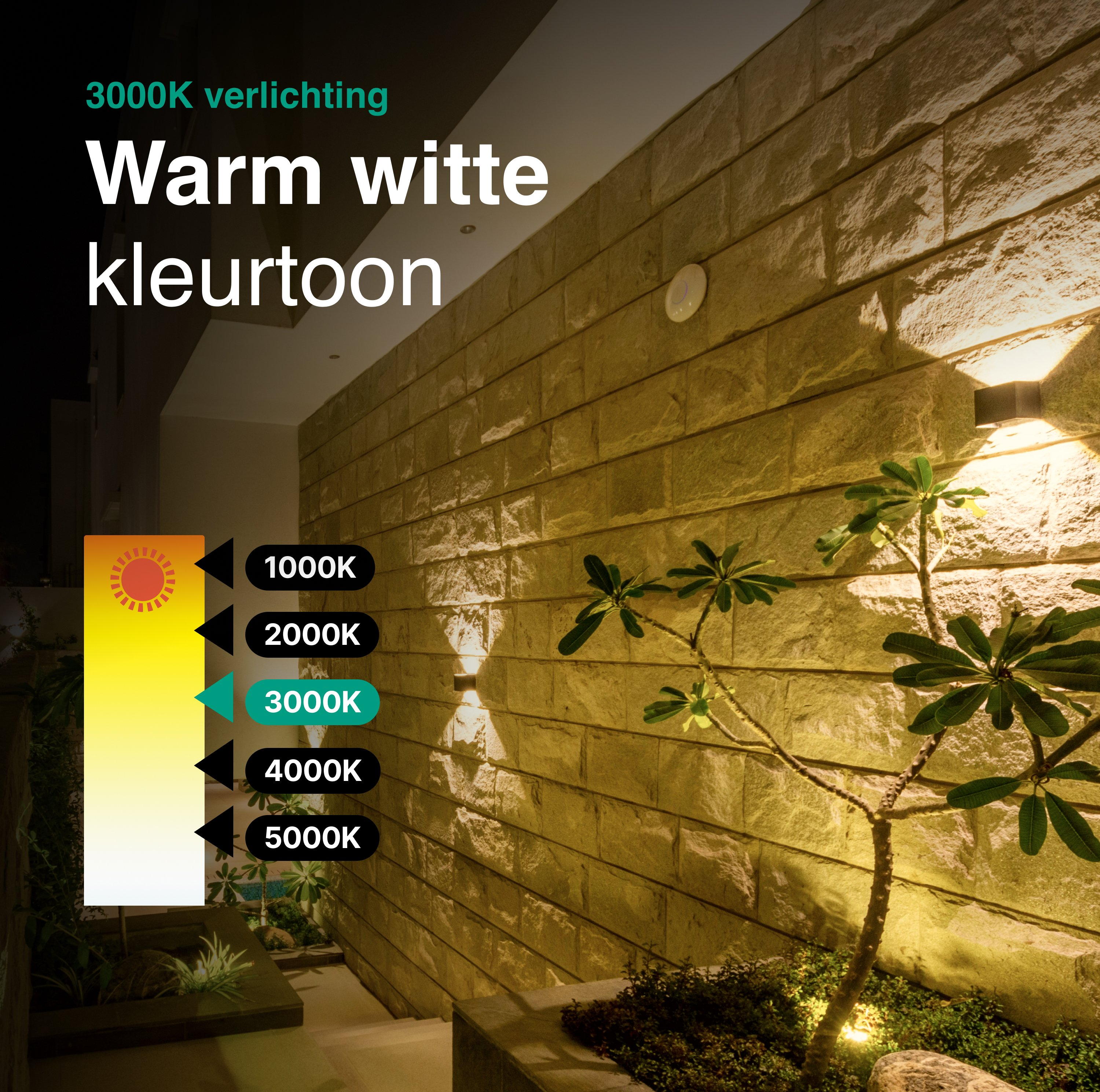Verlichtingsschaal toont 3000K warm wit. Stenen muur met planten, verlicht.