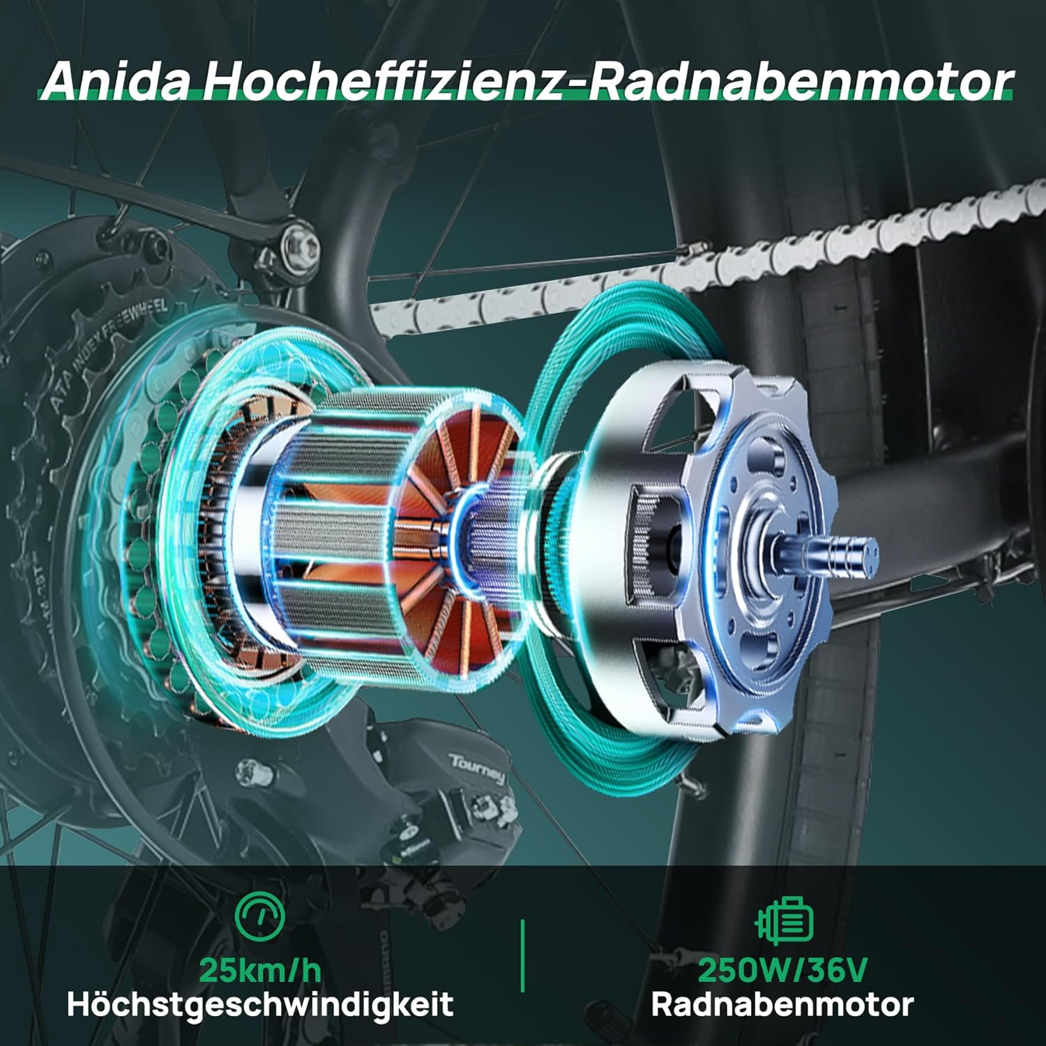 Detailansicht eines E-Bike-Radnabenmotors mit Kupferwicklungen und silbernem Gehäuse.