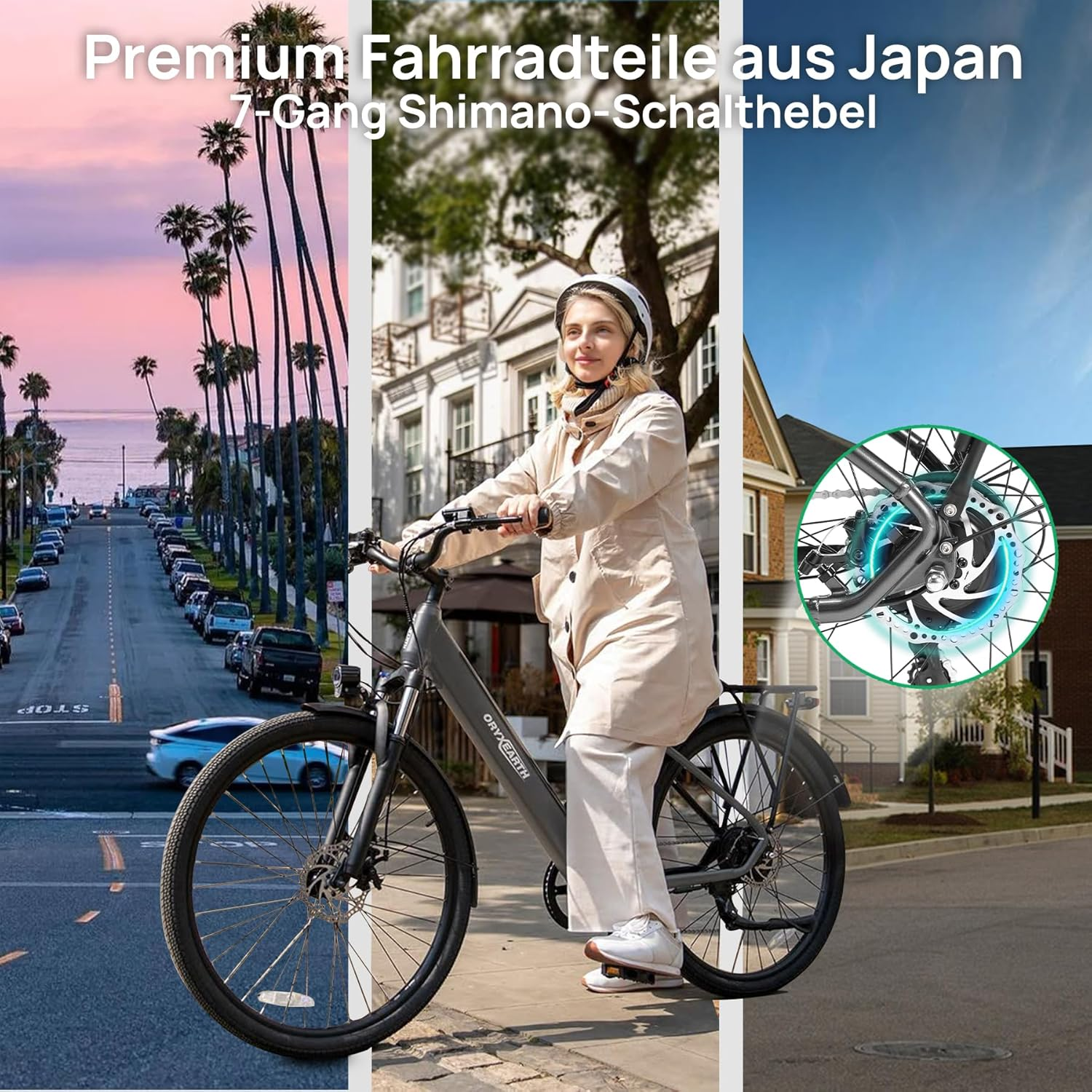 Collage: Frau auf E-Bike, palmen gesäumte Straße, Fahrraddetails.