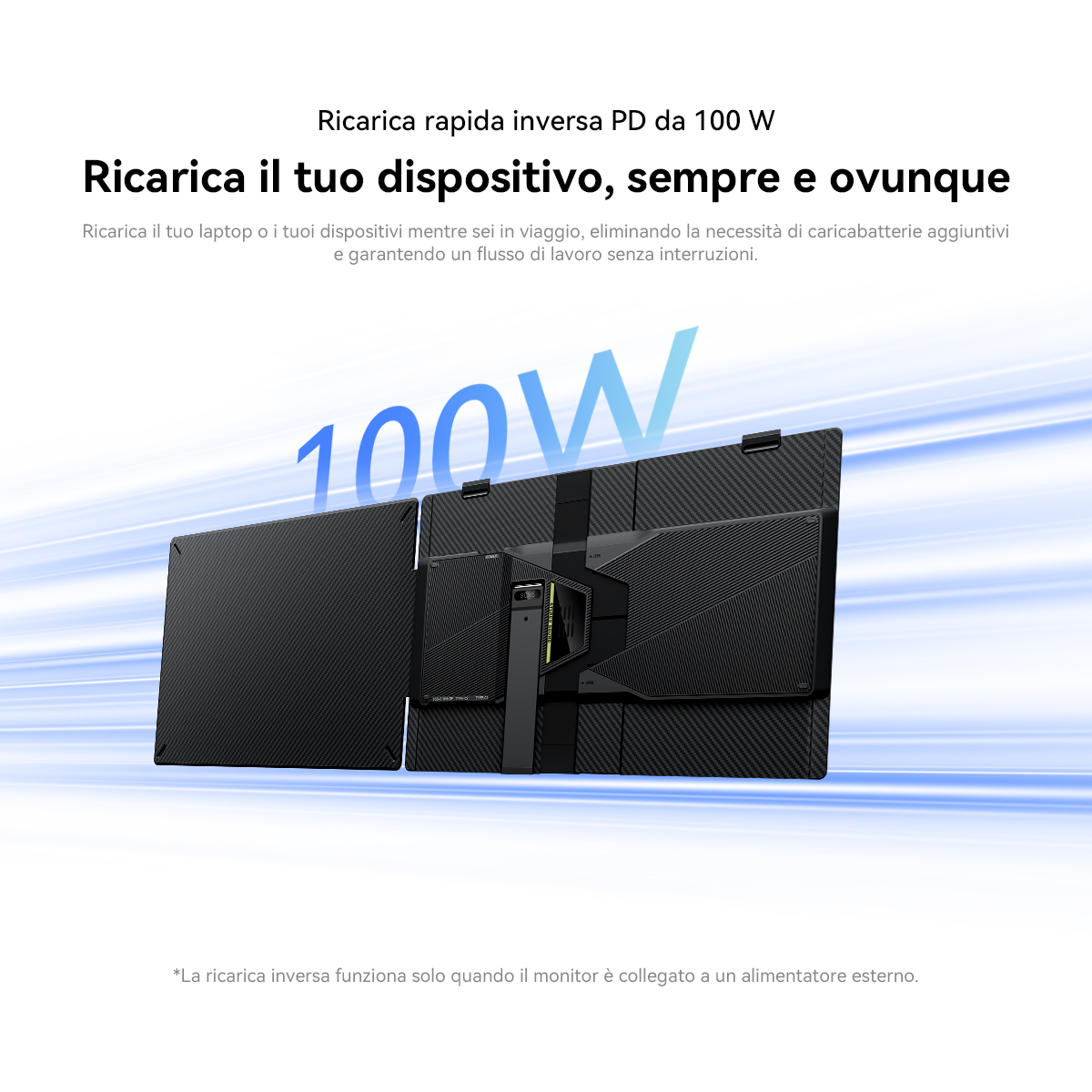 Due monitor neri collegati sul retro con motivo in carbonio. 100W.