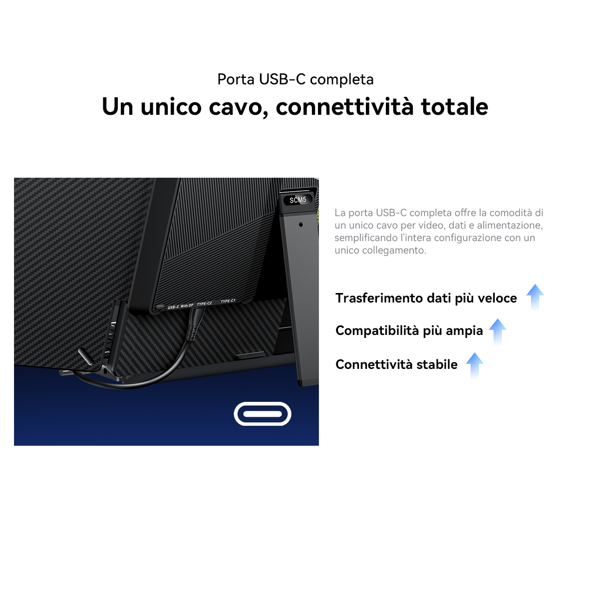 Retro di un monitor con porte USB-C e cavo collegato.