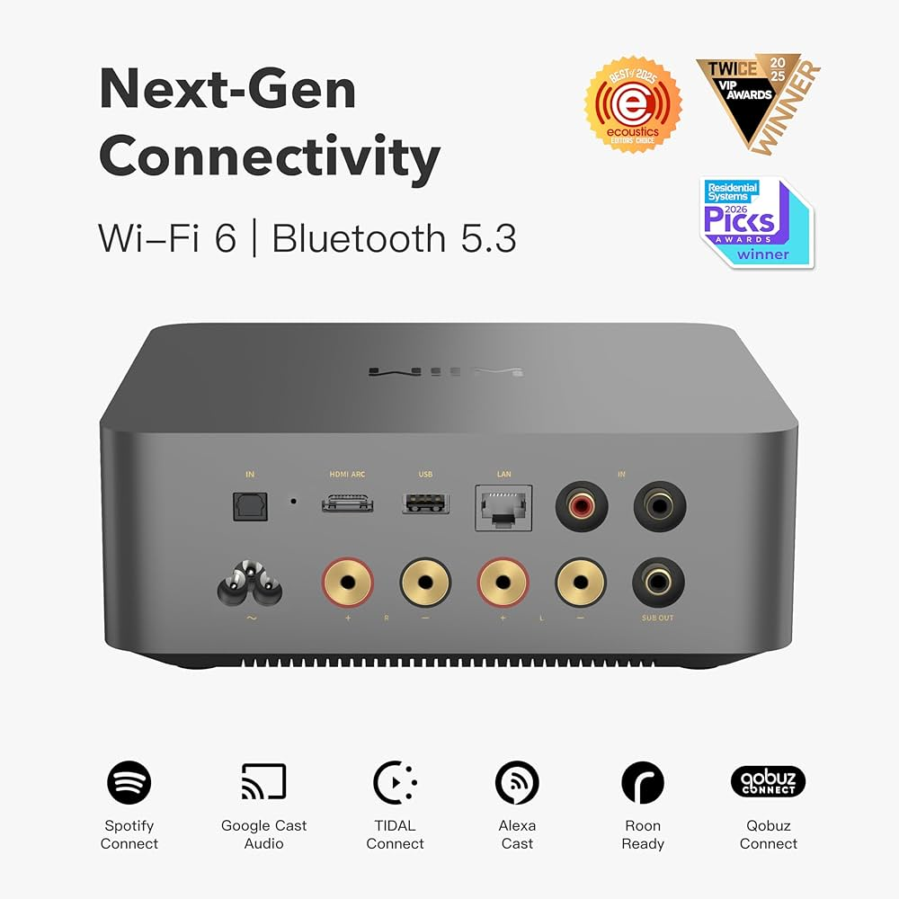 Graues Audiogerät mit Anschlüssen und Konnektivitätsoptionen wie Wi-Fi 6.