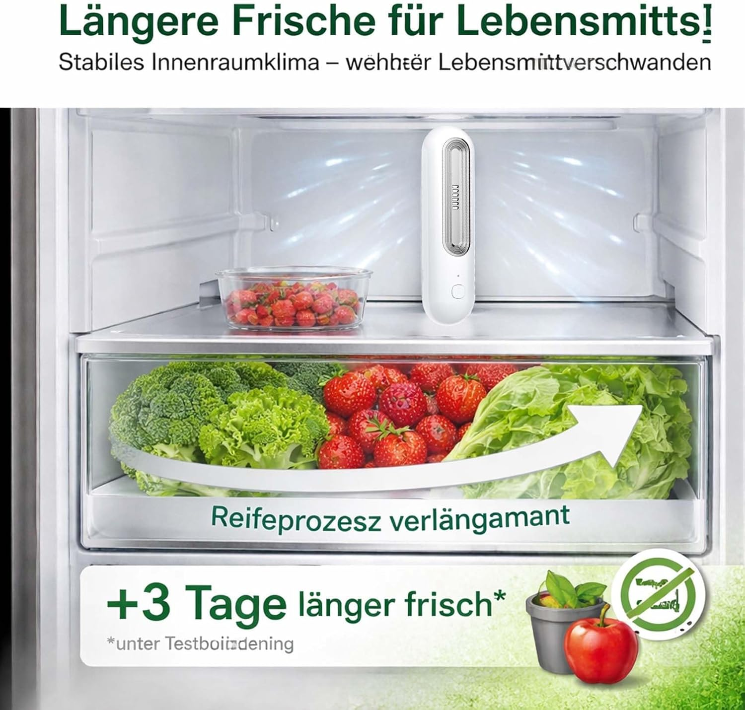 Ein Kühlschrankfach mit Erdbeeren, Brokkoli und Salat. Ein weißes Gerät ist oben platziert.