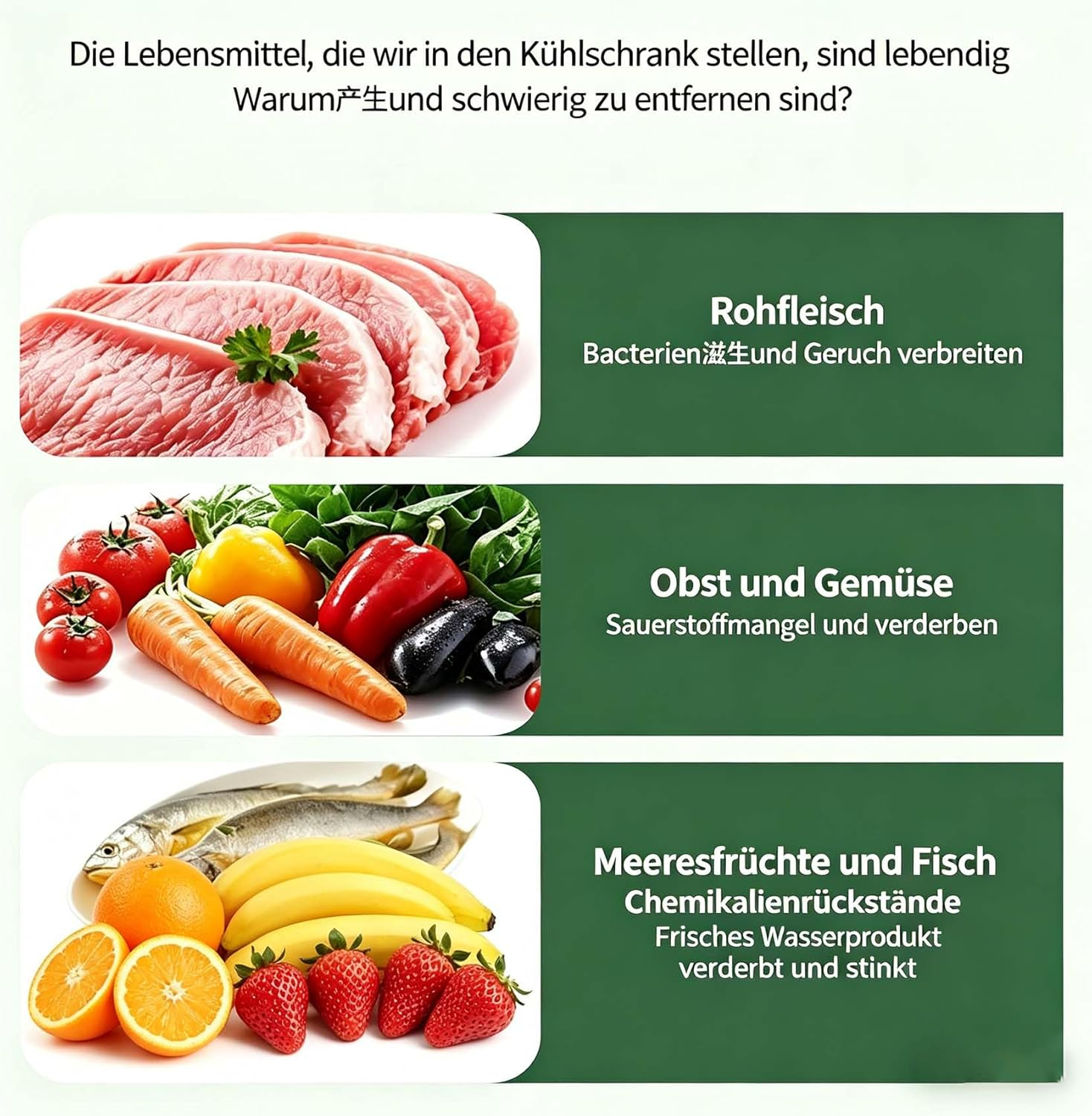 Rohfleisch, Obst, Gemüse und Fisch mit Texten über Lebensmittelverderbnis.