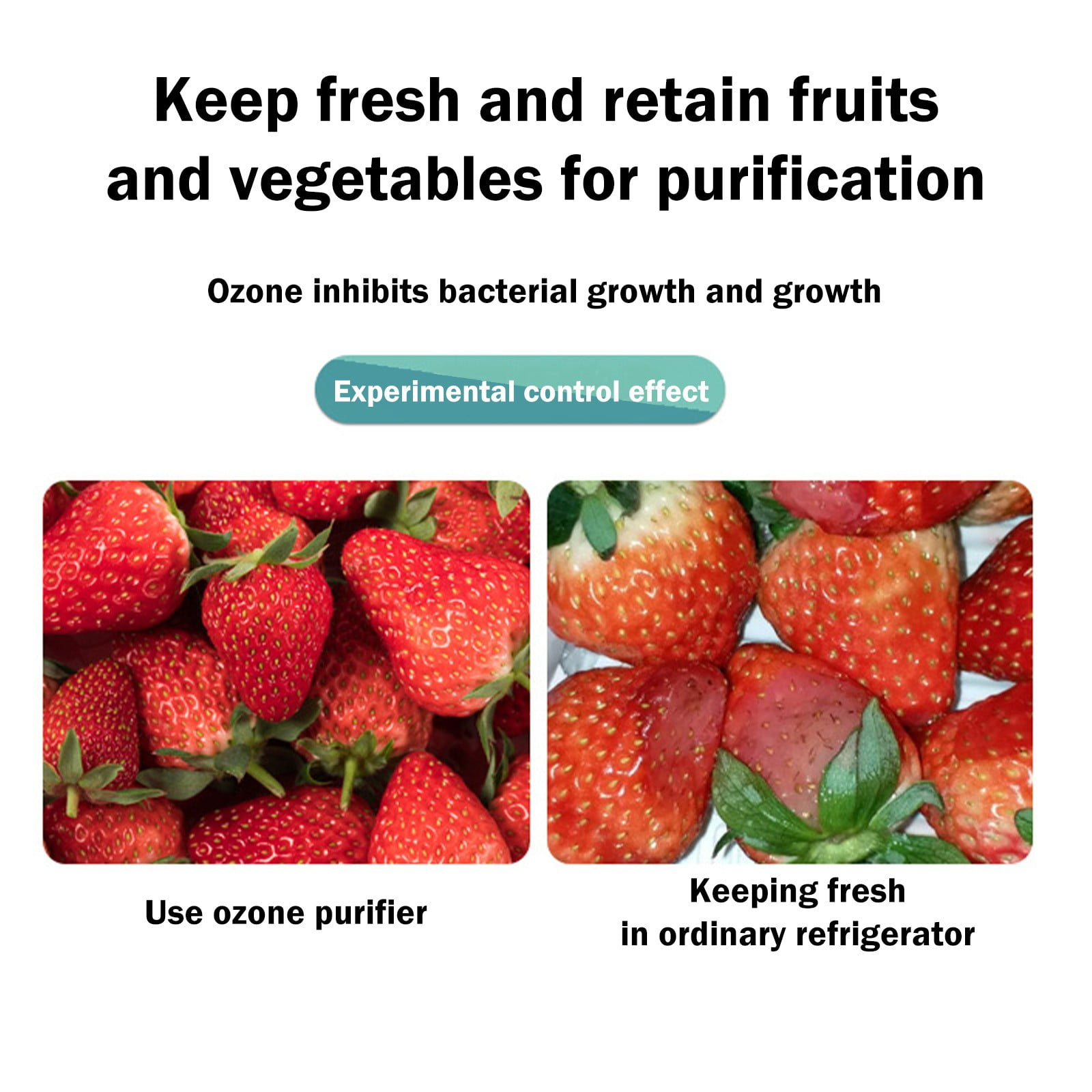 Frische Erdbeeren mit Ozonschutz links, ältere rechts. Vergleich.