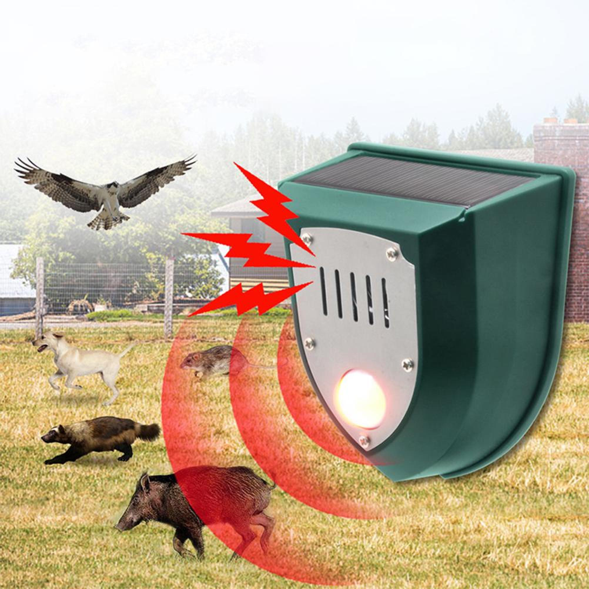 Grünes Solar-Schädlingsbekämpfungsgerät mit Rotlicht, das Tiere wie Hund, Dachs, Wildschwein, Ratte und Vogel abwehrt.